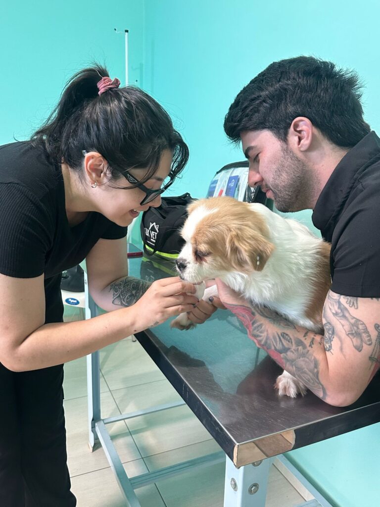 WhatsApp Image 2026-02-20 at 16.48.31 (1)