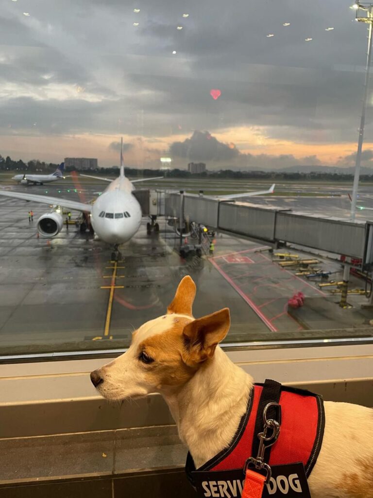 WhatsApp Image 2026-02-20 at 16.48.31