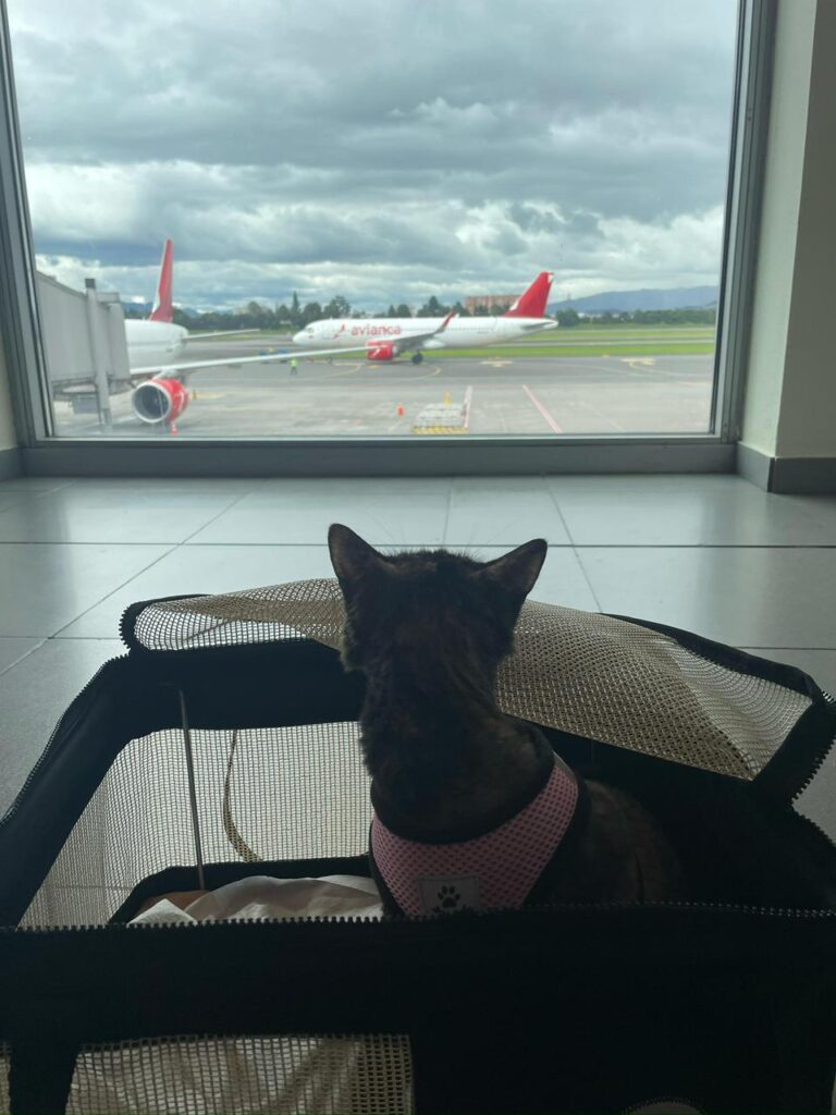 WhatsApp Image 2026-02-20 at 16.48.32 (2)