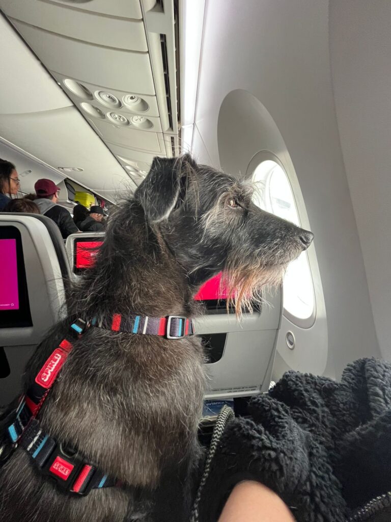 WhatsApp Image 2026-02-20 at 16.48.32 (3)