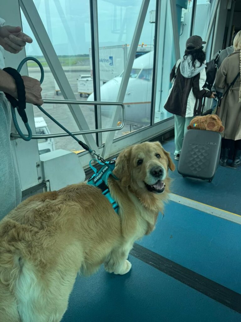 WhatsApp Image 2026-02-20 at 16.48.33 (1)